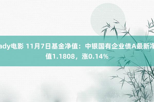 ady电影 11月7日基金净值：中银国有企业债A最新净值1.1808，涨0.14%