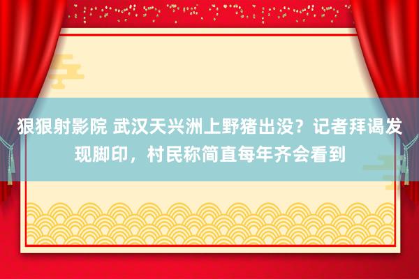 狠狠射影院 武汉天兴洲上野猪出没？记者拜谒发现脚印，村民称简直每年齐会看到