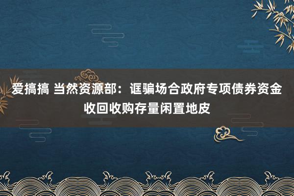 爱搞搞 当然资源部：诓骗场合政府专项债券资金收回收购存量闲置地皮