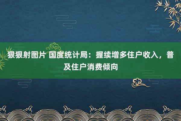 狠狠射图片 国度统计局：握续增多住户收入，普及住户消费倾向