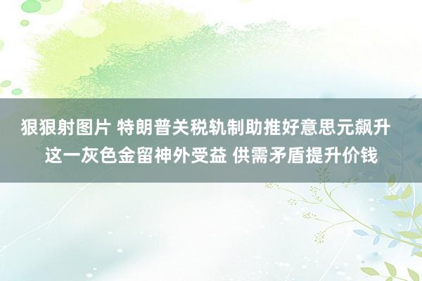 狠狠射图片 特朗普关税轨制助推好意思元飙升  这一灰色金留神外受益 供需矛盾提升价钱