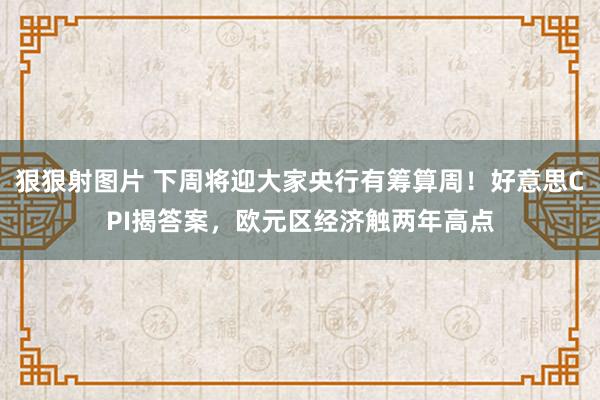 狠狠射图片 下周将迎大家央行有筹算周！好意思CPI揭答案，欧元区经济触两年高点