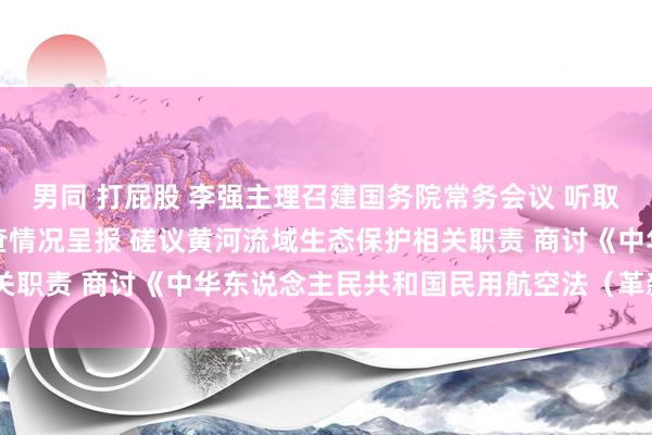 男同 打屁股 李强主理召建国务院常务会议 听取推动高质地发展抽象督查情况呈报 磋议黄河流域生态保护相关职责 商讨《中华东说念主民共和国民用航空法（革新草案）》