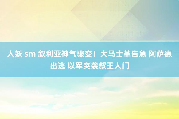 人妖 sm 叙利亚神气骤变！大马士革告急 阿萨德出逃 以军突袭叙王人门