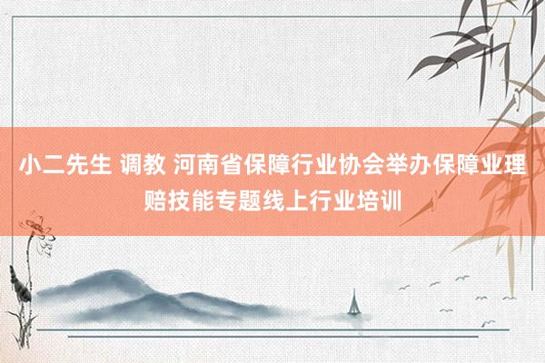 小二先生 调教 河南省保障行业协会举办保障业理赔技能专题线上行业培训