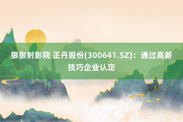 狠狠射影院 正丹股份(300641.SZ)：通过高新技巧企业认定