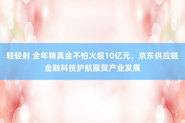 轻轻射 全年精真金不怕火超10亿元，京东供应链金融科技护航服贸产业发展