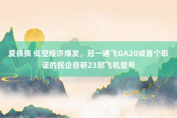 爱搞搞 低空经济爆发，冠一通飞GA20成首个取证的民企自研23部飞机型号