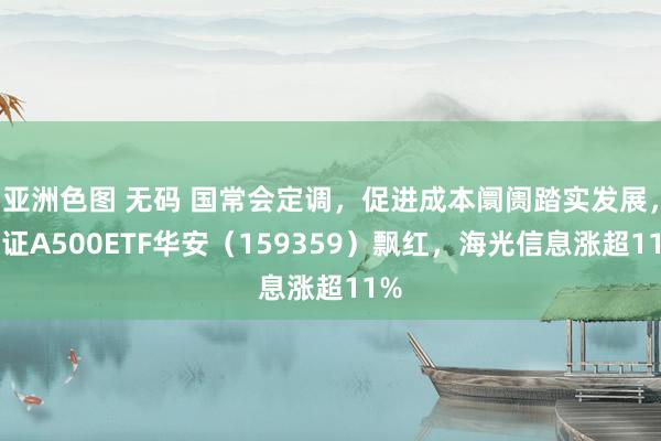 亚洲色图 无码 国常会定调，促进成本阛阓踏实发展，中证A500ETF华安（159359）飘红，海光信息涨超11%