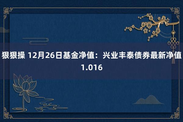 狠狠操 12月26日基金净值：兴业丰泰债券最新净值1.016