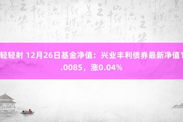 轻轻射 12月26日基金净值：兴业丰利债券最新净值1.0085，涨0.04%