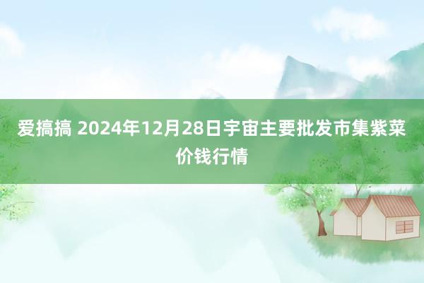 爱搞搞 2024年12月28日宇宙主要批发市集紫菜价钱行情