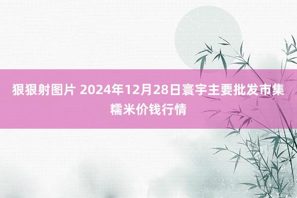 狠狠射图片 2024年12月28日寰宇主要批发市集糯米价钱行情