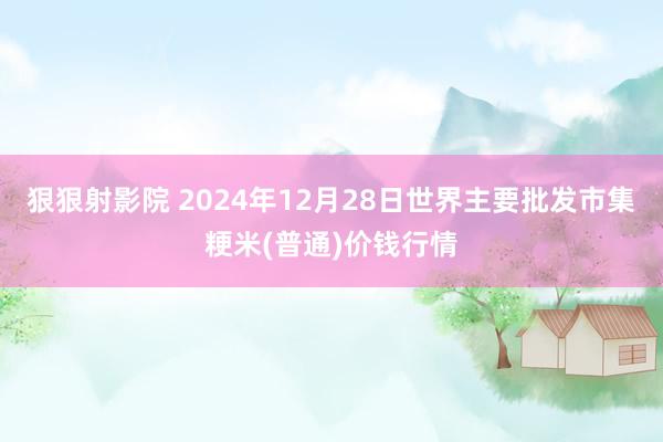 狠狠射影院 2024年12月28日世界主要批发市集粳米(普通)价钱行情