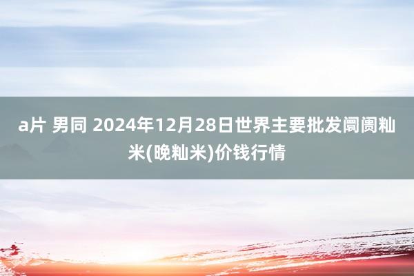 a片 男同 2024年12月28日世界主要批发阛阓籼米(晚籼米)价钱行情