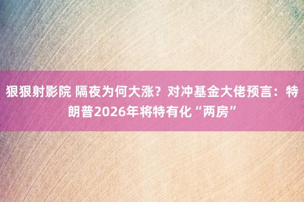 狠狠射影院 隔夜为何大涨？对冲基金大佬预言：特朗普2026年将特有化“两房”