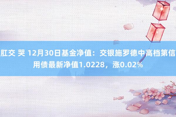 肛交 哭 12月30日基金净值：交银施罗德中高档第信用债最新净值1.0228，涨0.02%