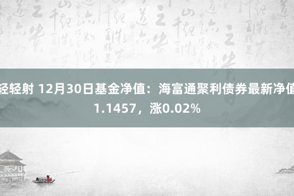 轻轻射 12月30日基金净值：海富通聚利债券最新净值1.1457，涨0.02%