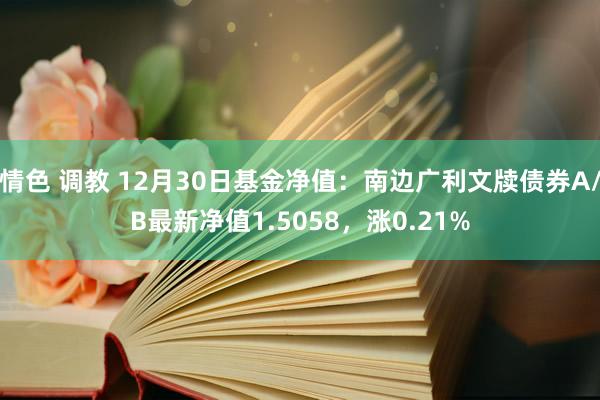 情色 调教 12月30日基金净值：南边广利文牍债券A/B最新净值1.5058，涨0.21%