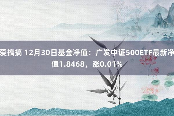 爱搞搞 12月30日基金净值：广发中证500ETF最新净值1.8468，涨0.01%