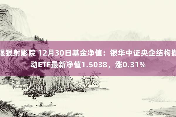 狠狠射影院 12月30日基金净值：银华中证央企结构搬动ETF最新净值1.5038，涨0.31%