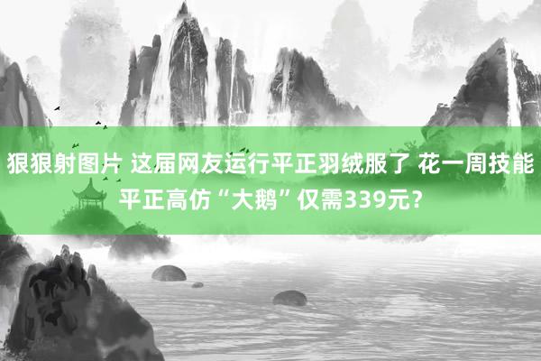 狠狠射图片 这届网友运行平正羽绒服了 花一周技能平正高仿“大鹅”仅需339元？