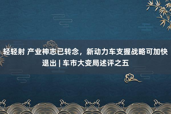 轻轻射 产业神志已转念，新动力车支握战略可加快退出 | 车市大变局述评之五