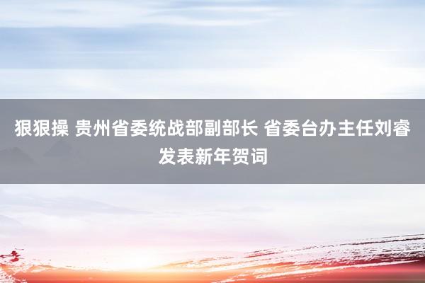 狠狠操 贵州省委统战部副部长 省委台办主任刘睿发表新年贺词