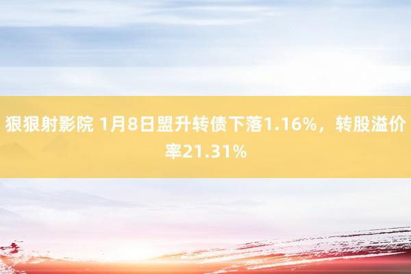 狠狠射影院 1月8日盟升转债下落1.16%，转股溢价率21.31%