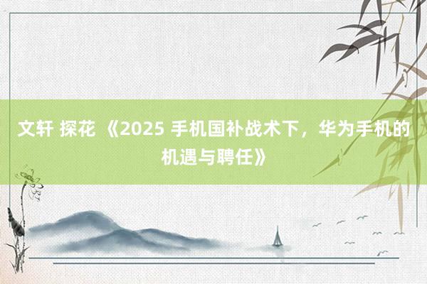 文轩 探花 《2025 手机国补战术下，华为手机的机遇与聘任》