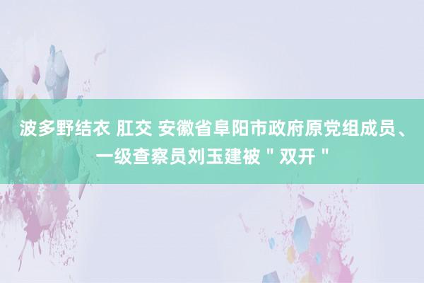 波多野结衣 肛交 安徽省阜阳市政府原党组成员、一级查察员刘玉建被＂双开＂