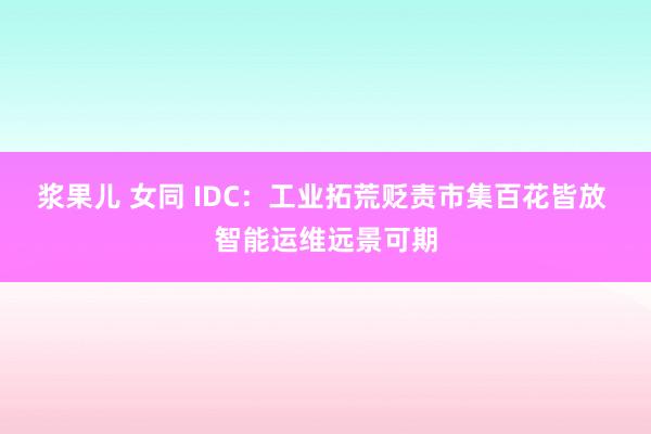 浆果儿 女同 IDC：工业拓荒贬责市集百花皆放 智能运维远景可期