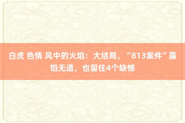 白虎 色情 风中的火焰：大结局，“813案件”露馅无遗，也留住4个缺憾